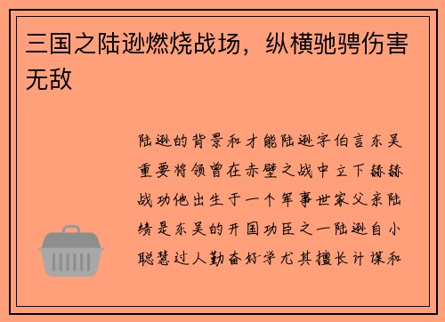 三国之陆逊燃烧战场，纵横驰骋伤害无敌